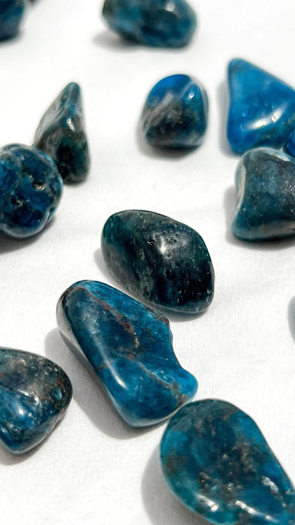 Blue Apatite Tumbles | Small - Unearthed Crystals