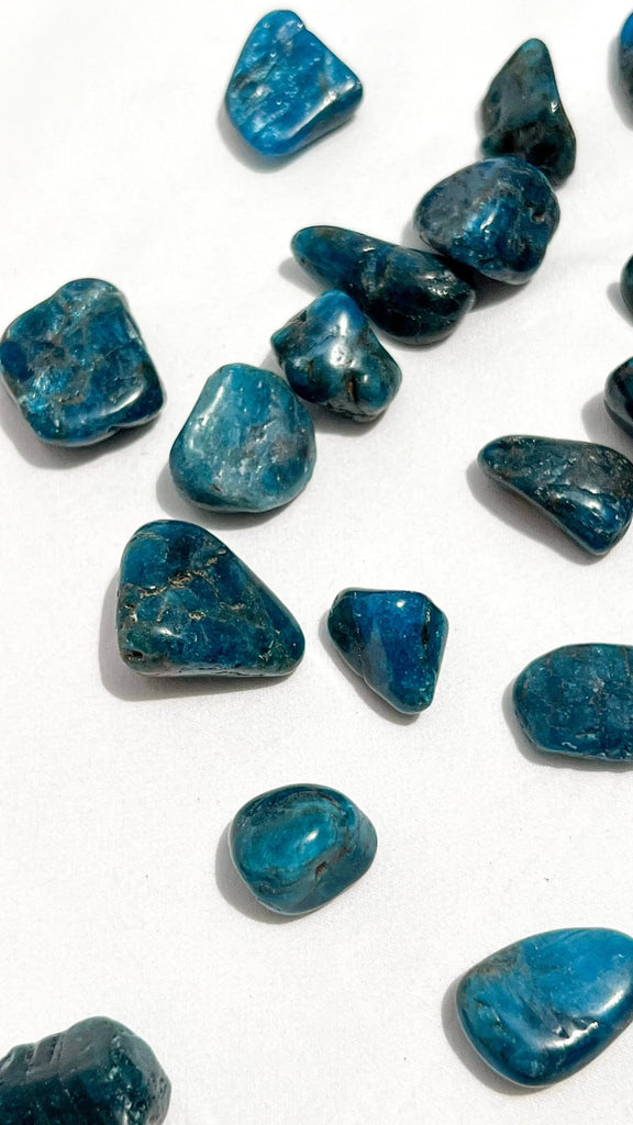 Blue Apatite Tumbles | Small - Unearthed Crystals