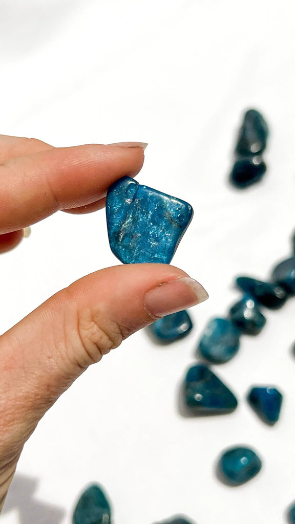 Blue Apatite Tumbles | Small - Unearthed Crystals