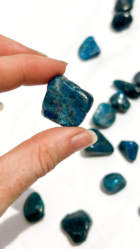 Blue Apatite Tumbles | Small - Unearthed Crystals