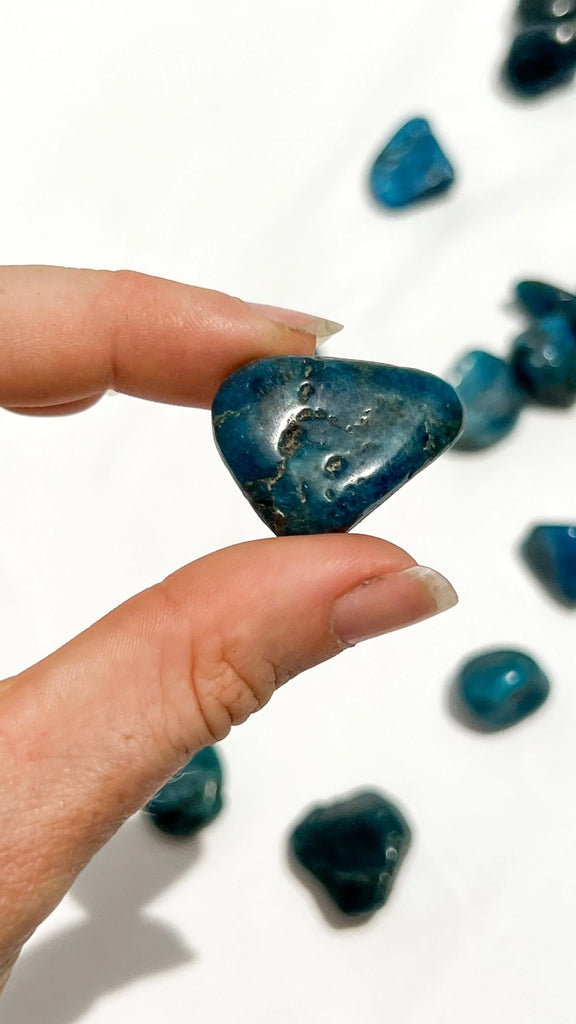 Blue Apatite Tumbles | Small - Unearthed Crystals