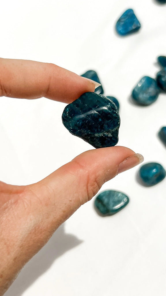 Blue Apatite Tumbles | Small - Unearthed Crystals