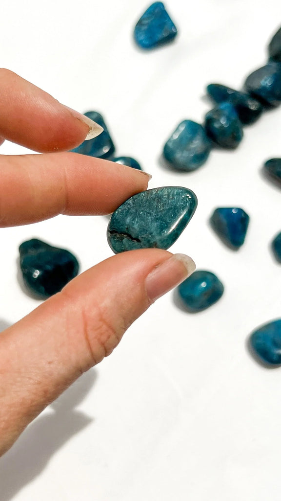 Blue Apatite Tumbles | Small - Unearthed Crystals