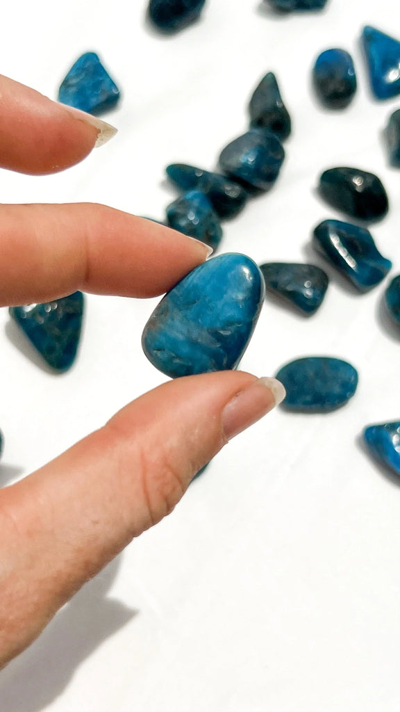 Blue Apatite Tumbles | Small - Unearthed Crystals