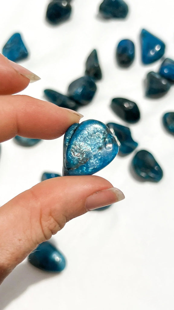 Blue Apatite Tumbles | Small - Unearthed Crystals