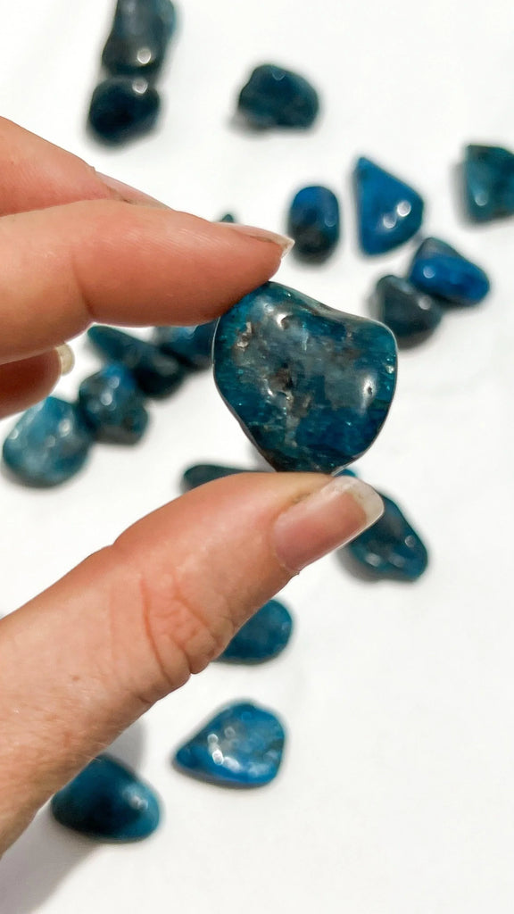 Blue Apatite Tumbles | Small - Unearthed Crystals