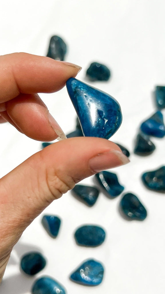 Blue Apatite Tumbles | Small - Unearthed Crystals