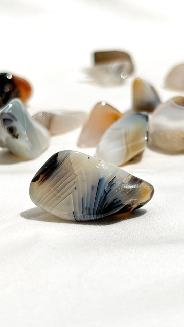 Banded Agate Tumbles | Small - Unearthed Crystals