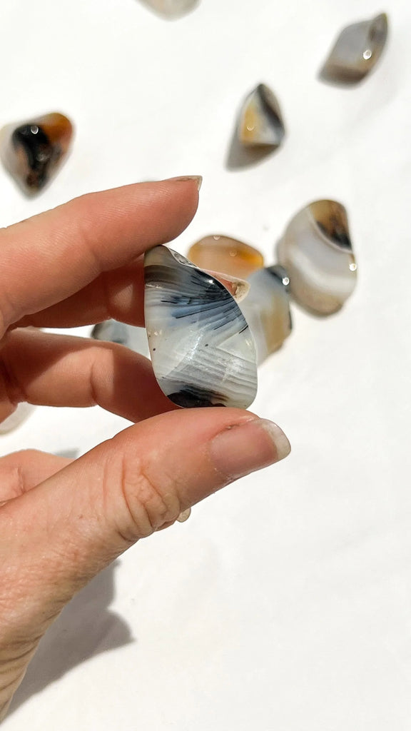Banded Agate Tumbles | Small - Unearthed Crystals