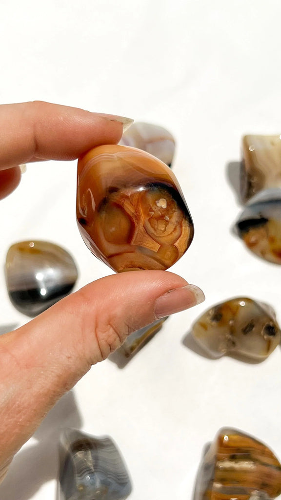 Banded Agate Tumbles | Medium - Unearthed Crystals