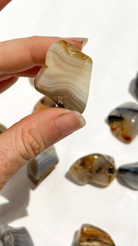 Banded Agate Tumbles | Medium - Unearthed Crystals