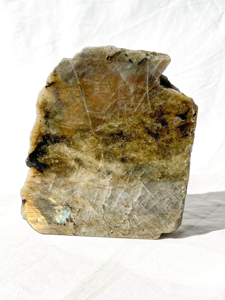 Labradorite Rough Standing Freeform | One Side Polished - Unearthed Crystals