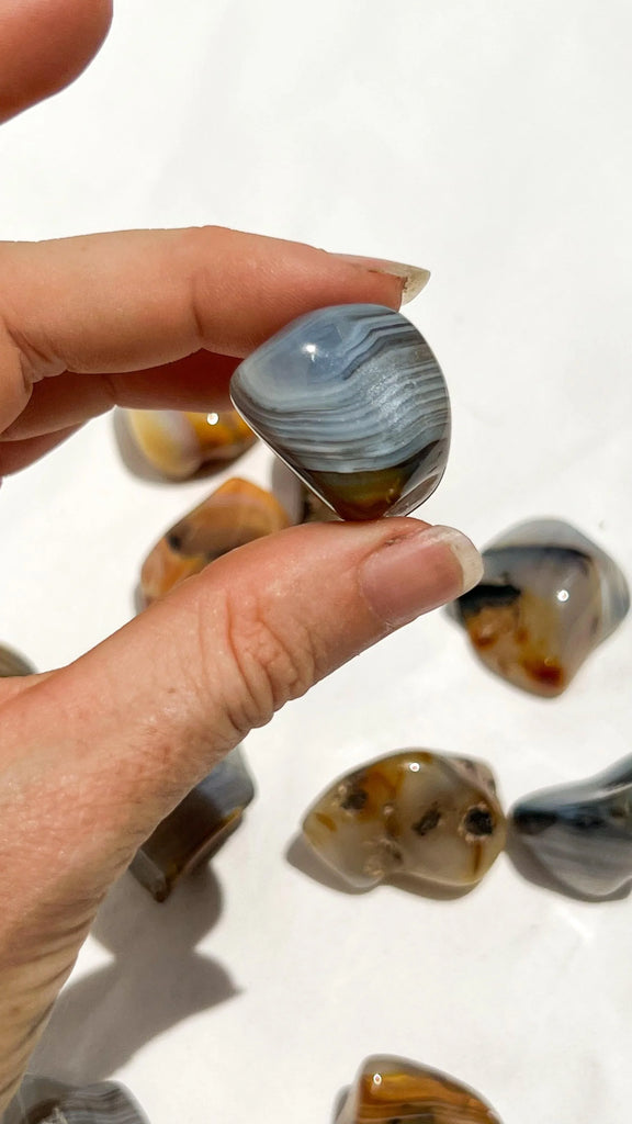 Banded Agate Tumbles | Medium - Unearthed Crystals