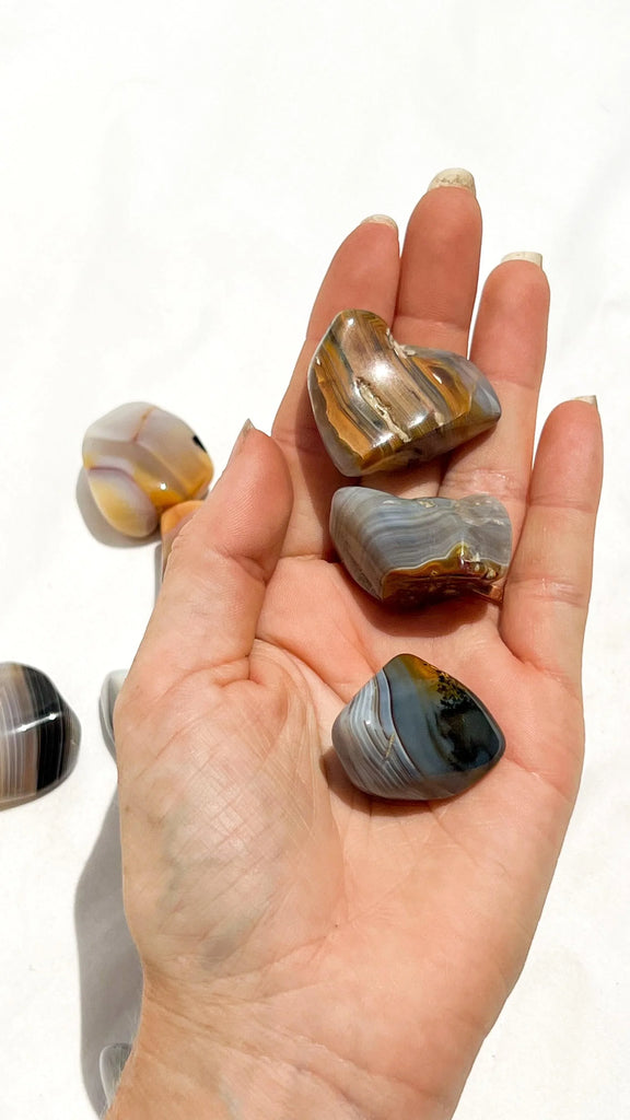 Banded Agate Tumbles | Medium - Unearthed Crystals