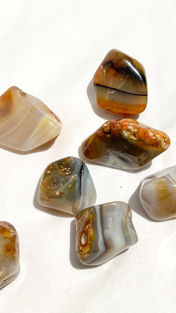 Banded Agate Tumbles | Large - Unearthed Crystals