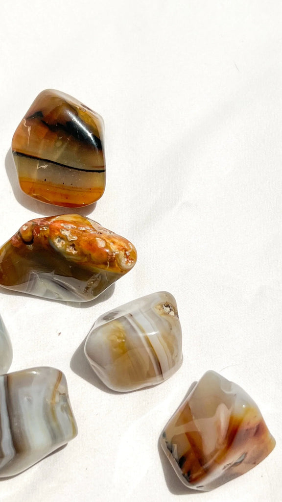 Banded Agate Tumbles | Large - Unearthed Crystals