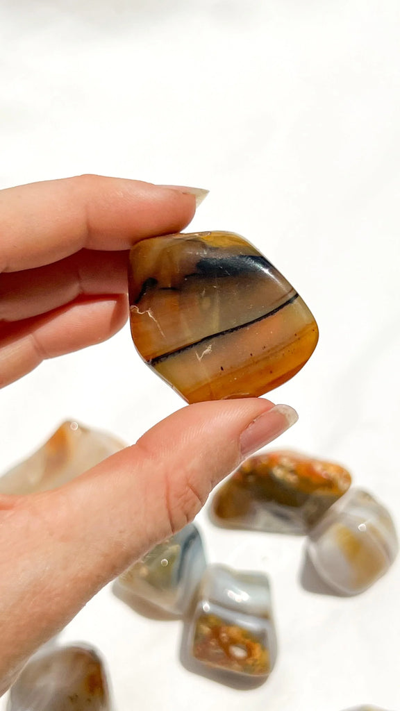 Banded Agate Tumbles | Large - Unearthed Crystals