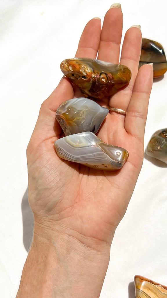 Banded Agate Tumbles | Large - Unearthed Crystals