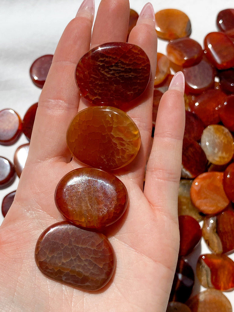 Carnelian (snakeskin) Coin | Large - Unearthed Crystals
