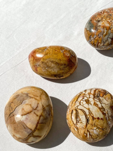 Ibis Jasper Palm Stone | Medium - Unearthed Crystals