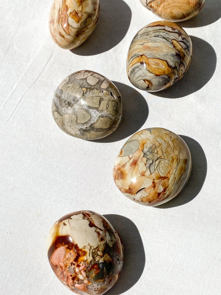 Ibis Jasper Palm Stone | Large - Unearthed Crystals