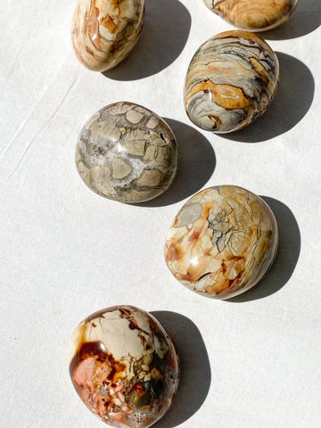 Ibis Jasper Palm Stone | Large - Unearthed Crystals