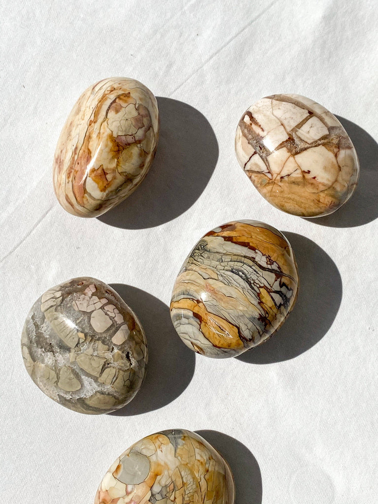 Ibis Jasper Palm Stone | Large - Unearthed Crystals