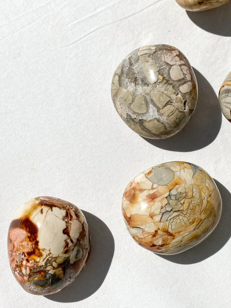 Ibis Jasper Palm Stone | Large - Unearthed Crystals