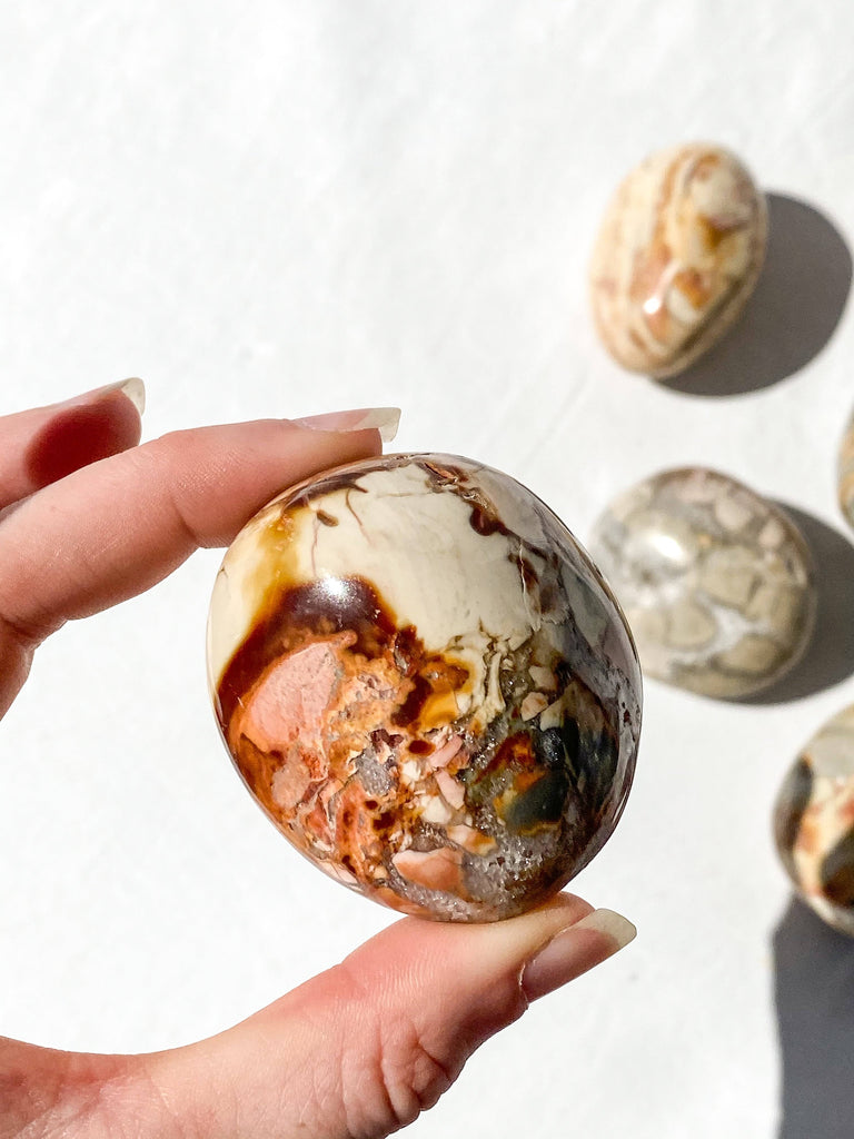 Ibis Jasper Palm Stone | Large - Unearthed Crystals