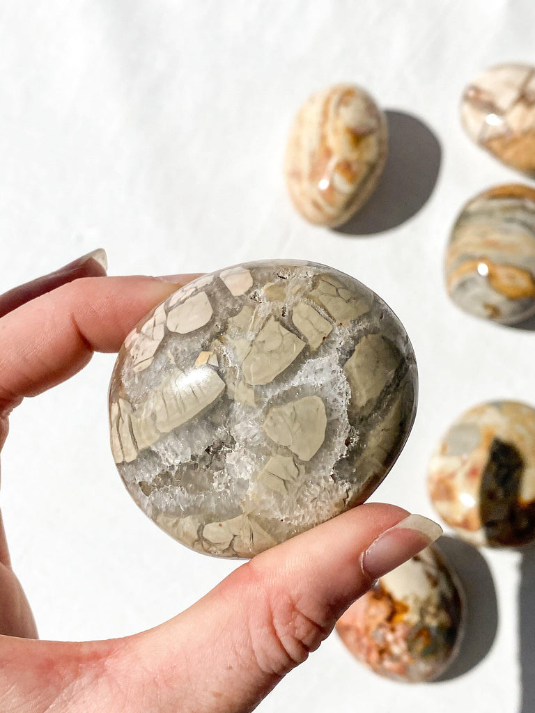 Ibis Jasper Palm Stone | Large - Unearthed Crystals
