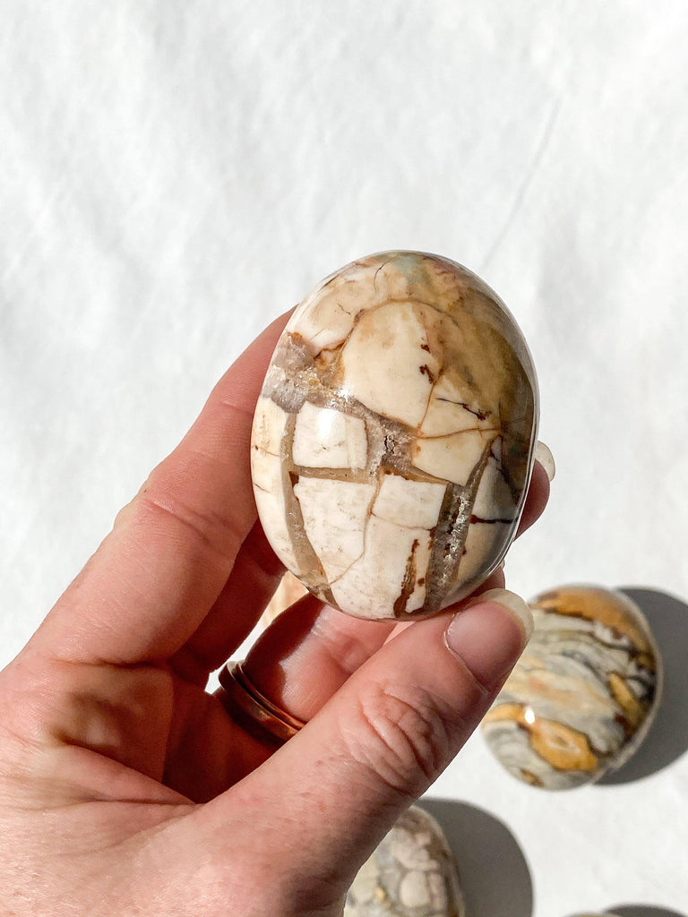 Ibis Jasper Palm Stone | Large - Unearthed Crystals