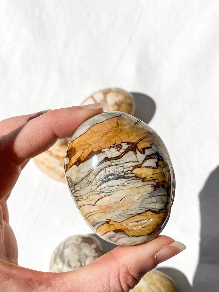 Ibis Jasper Palm Stone | Large - Unearthed Crystals