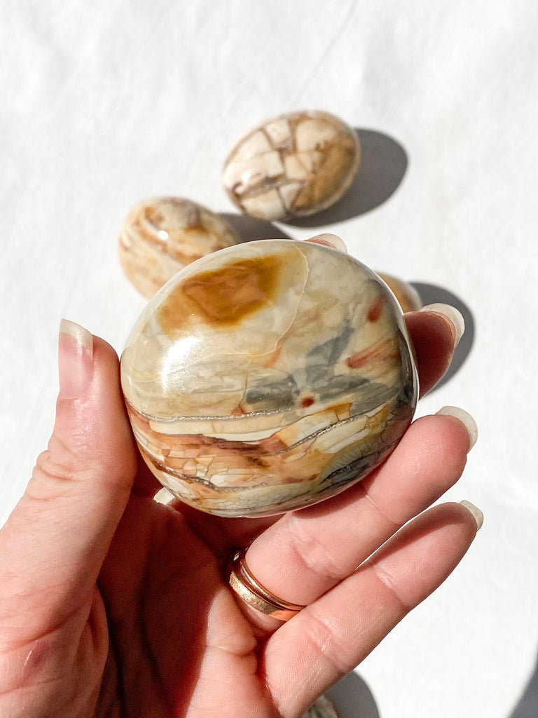 Ibis Jasper Palm Stone | Large - Unearthed Crystals