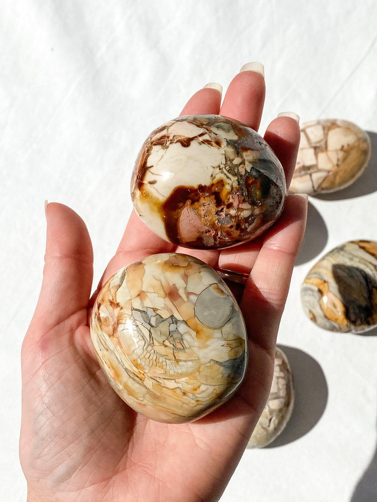 Ibis Jasper Palm Stone | Large - Unearthed Crystals