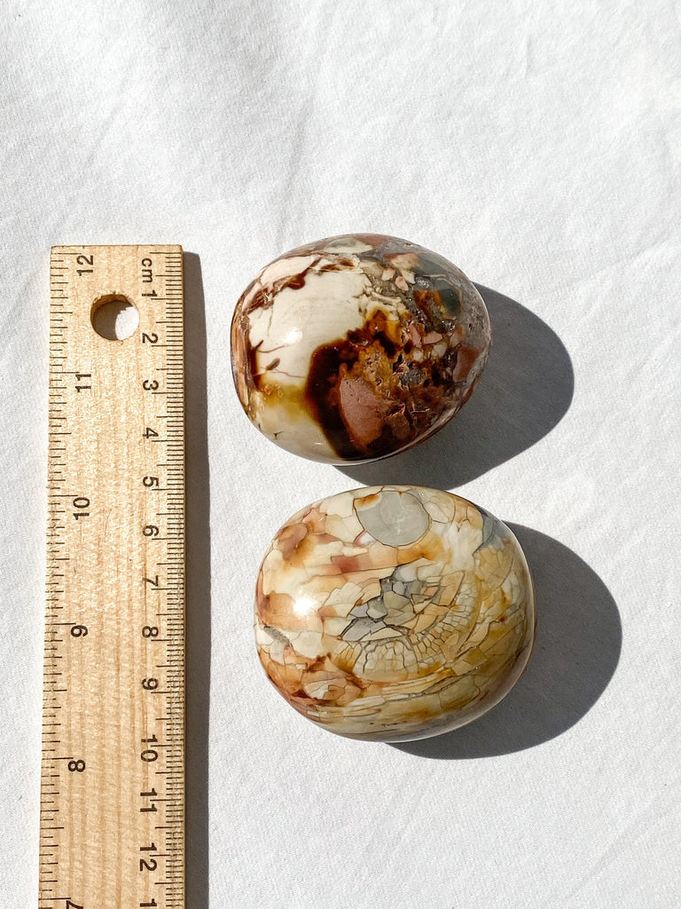 Ibis Jasper Palm Stone | Large - Unearthed Crystals