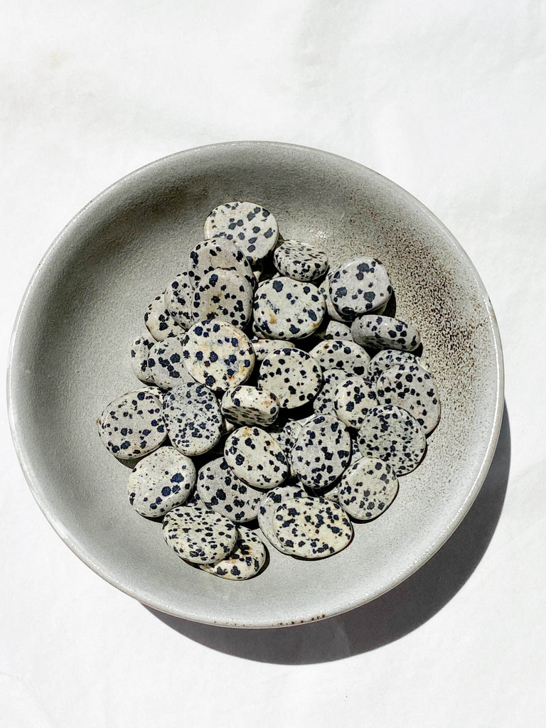 Dalmatian Jasper Coin - Unearthed Crystals