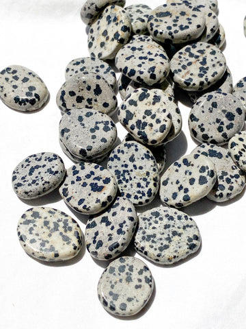 Dalmatian Jasper Coin - Unearthed Crystals