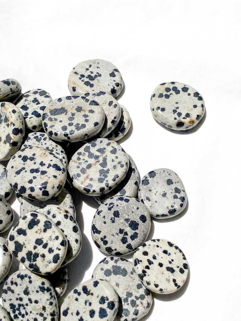 Dalmatian Jasper Coin - Unearthed Crystals