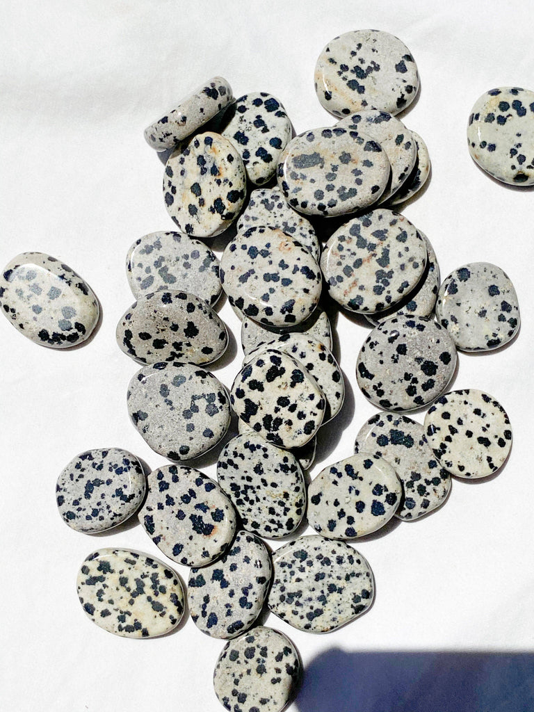 Dalmatian Jasper Coin - Unearthed Crystals
