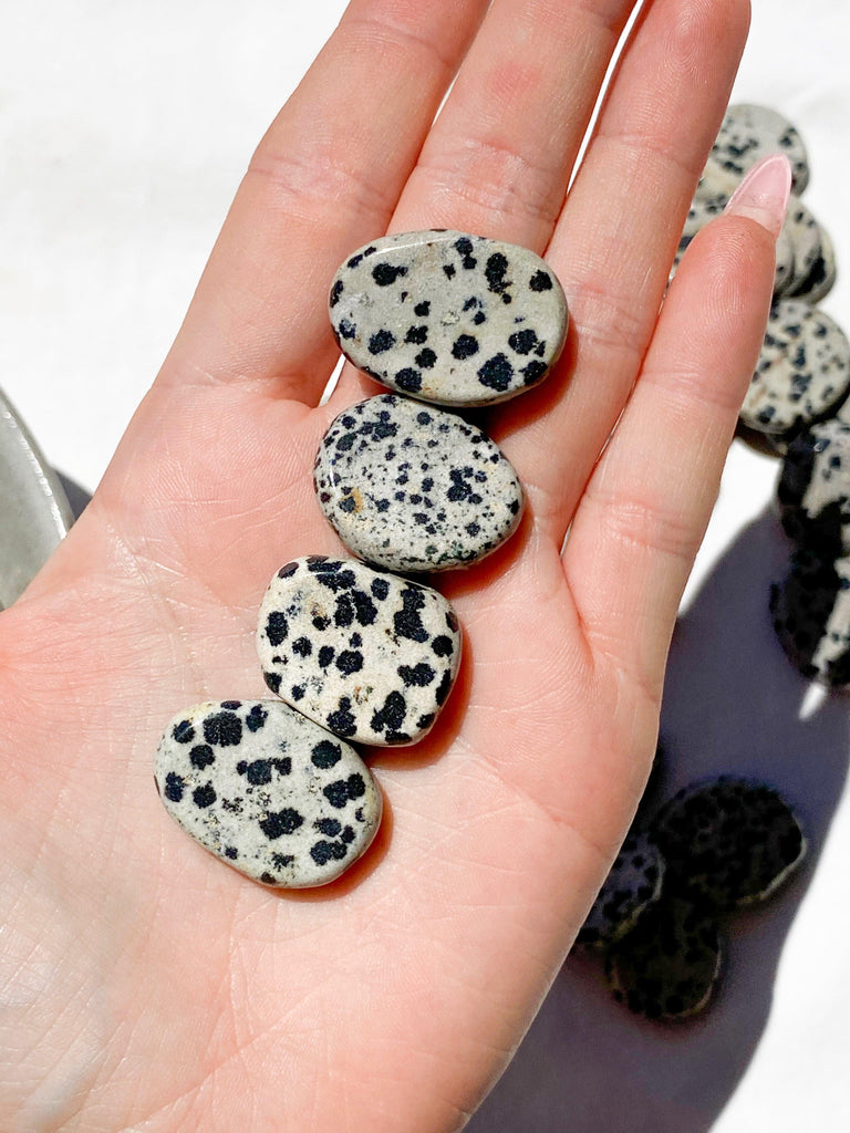 Dalmatian Jasper Coin - Unearthed Crystals