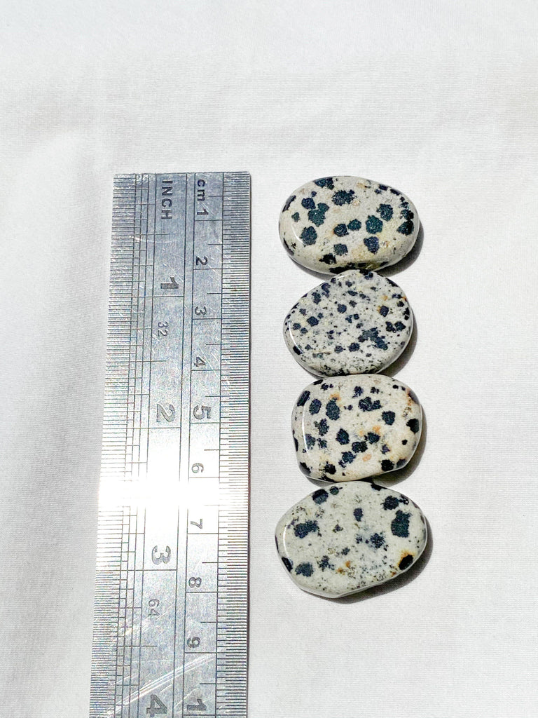 Dalmatian Jasper Coin - Unearthed Crystals