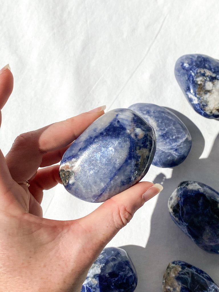 Sodalite Palm Stone | Large - Unearthed Crystals