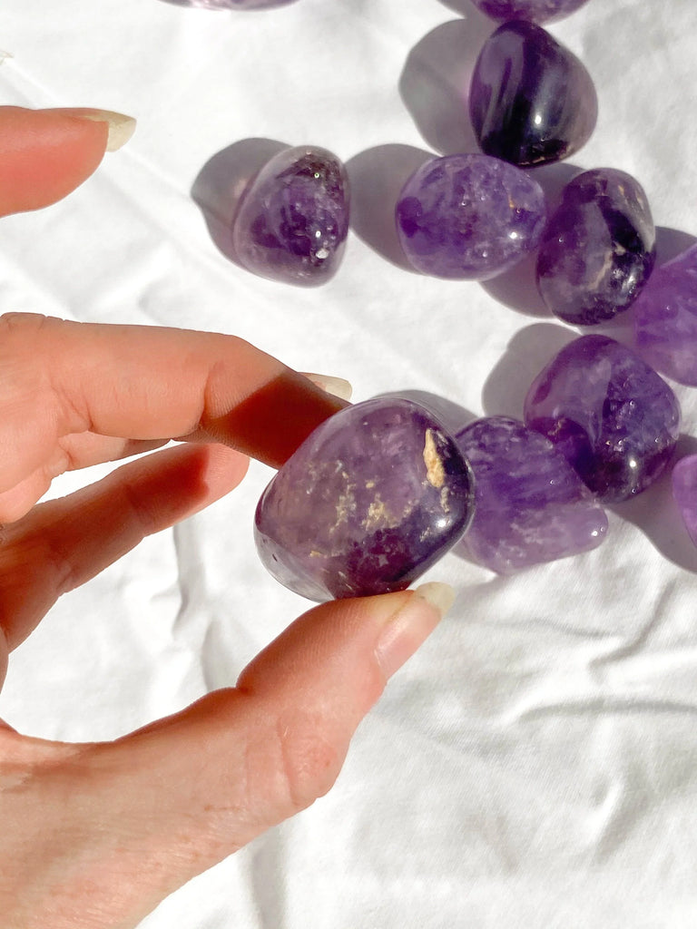 Amethyst Tumbles | Large - Unearthed Crystals