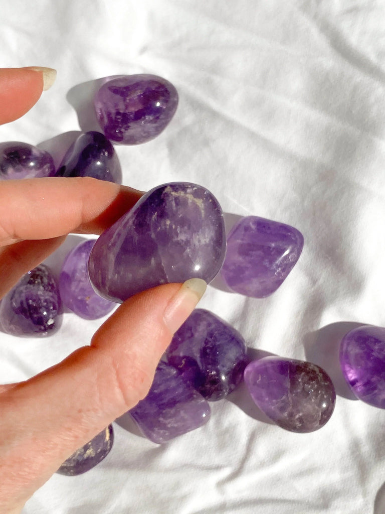 Amethyst Tumbles | Large - Unearthed Crystals