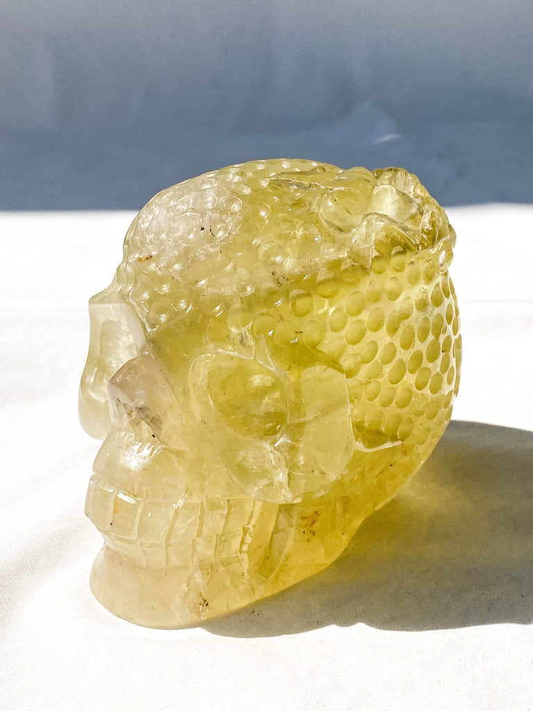 Save The Bees Skull Carving | Citrine - Unearthed Crystals