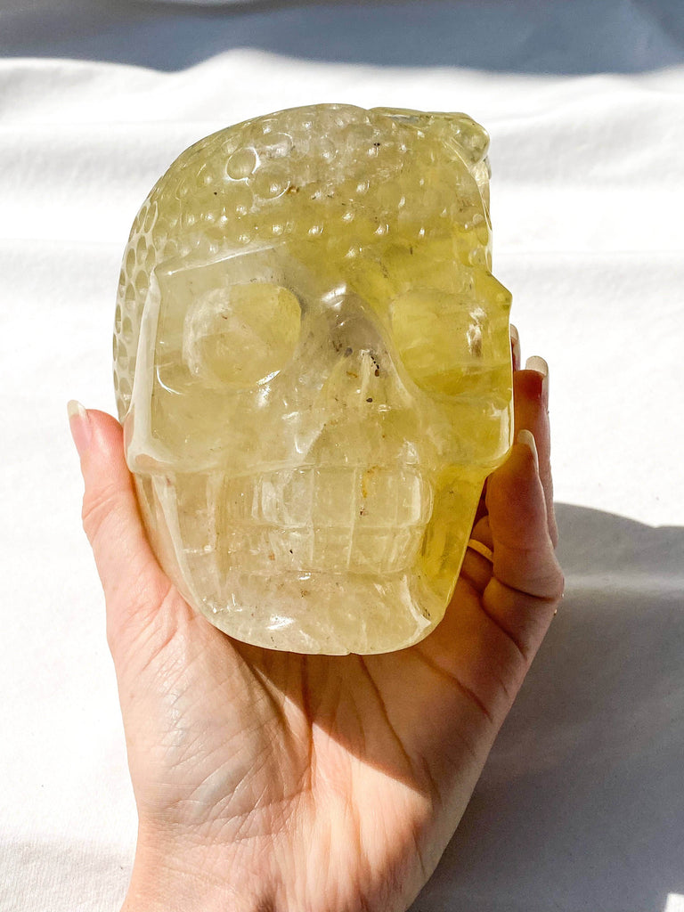 Save The Bees Skull Carving | Citrine - Unearthed Crystals