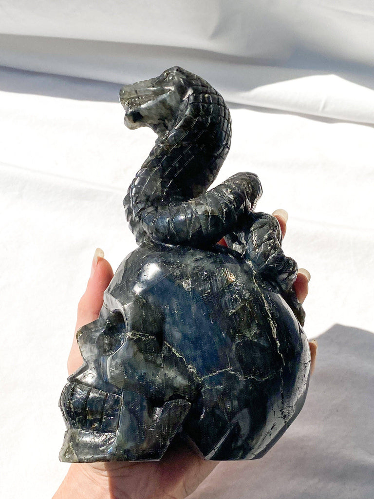 Skull + Cobra Carving | Labradorite - Unearthed Crystals