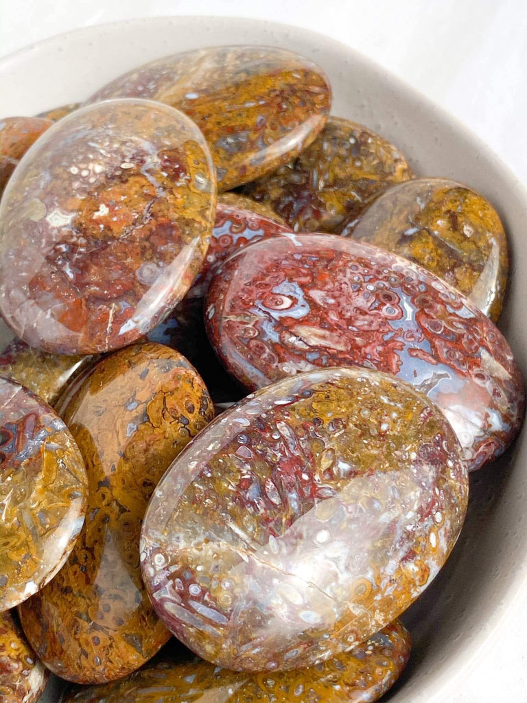 Plum Jasper Palm Stone | Medium - Unearthed Crystals