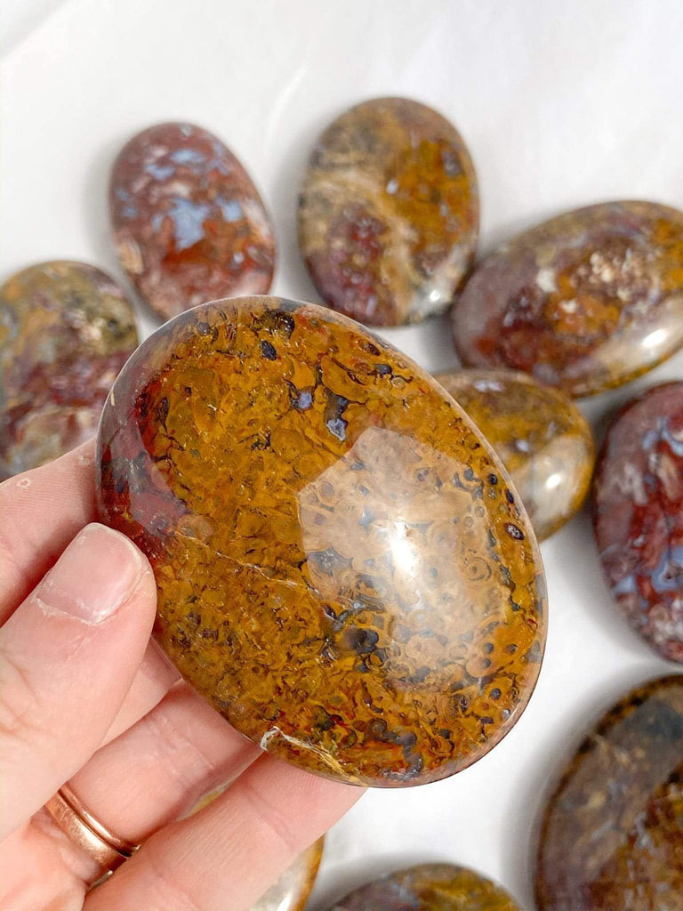 Plum Jasper Palm Stone | Medium - Unearthed Crystals