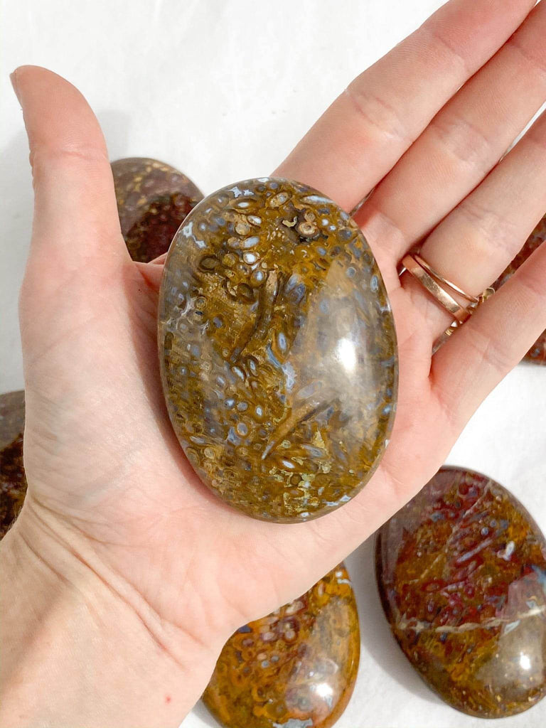 Plum Jasper Palm Stone | Large - Unearthed Crystals
